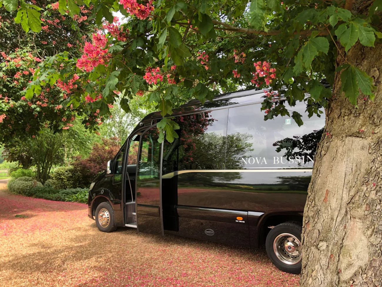 minibus under tree